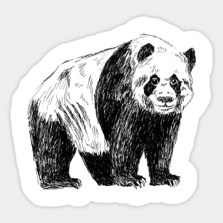Panda Print Sticker